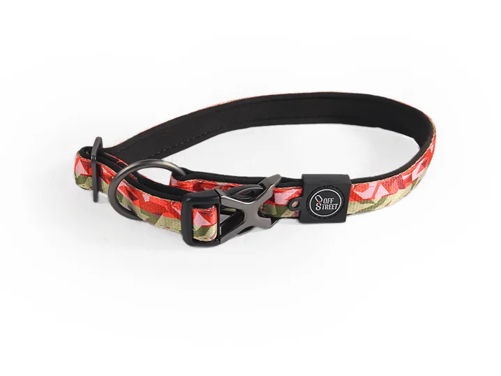 Afb Dog Leash - Camouflage S