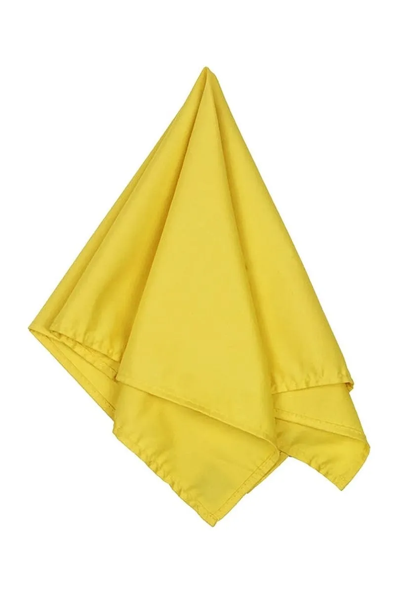 Big Accessories BA001: Solid Bandana